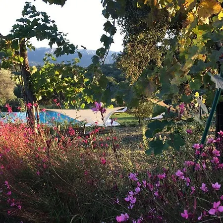 Isole Di Pietra לינה וארוחת בוקר 3*