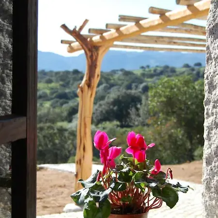 Isole Di Pietra Telti