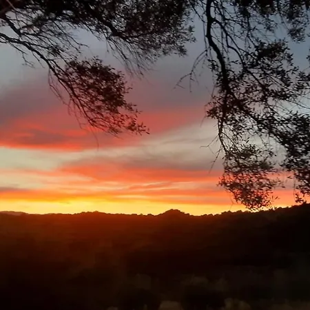 Isole Di Pietra לינה וארוחת בוקר