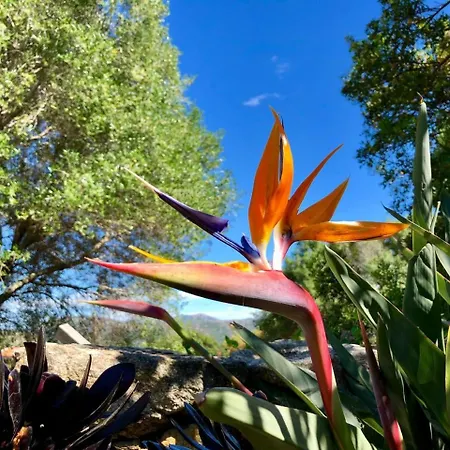 Isole Di Pietra Telti