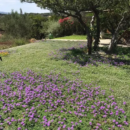 Isole Di Pietra 3* Telti