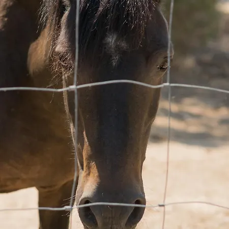 Isole Di Pietra 3* Telti