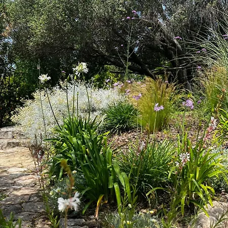 לינה וארוחת בוקר Isole Di Pietra