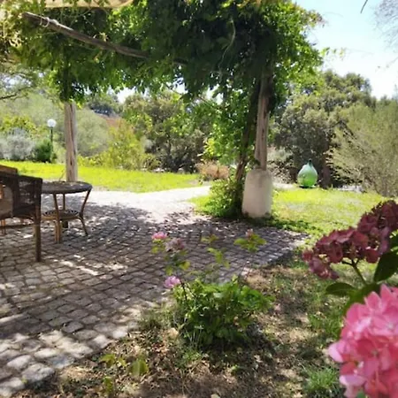 Isole Di Pietra *