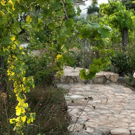 Isole Di Pietra Telti